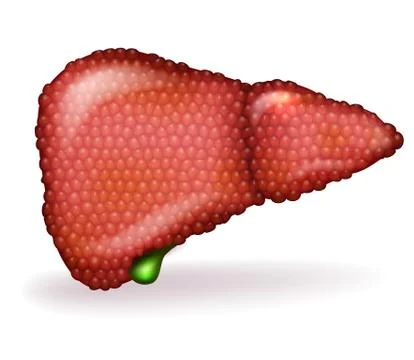 Liver disease Illustrazione stock
