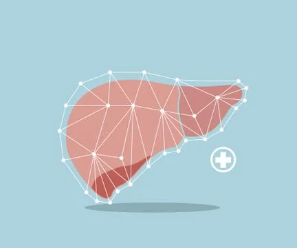 Liver flat design vector illustration Stock Illustration