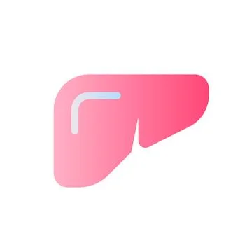 Liver flat gradient two-color ui icon Illustrazione stock