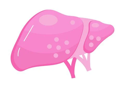 Liver flat icon vector for website and mobile website development, apps are p Illustrazione stock