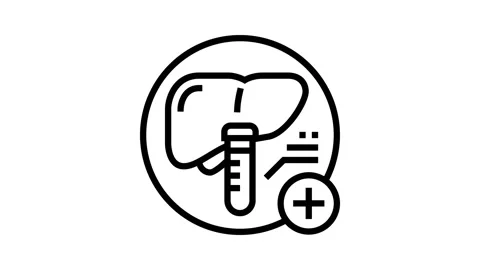 Liver function tests health check line icon animation Stock Footage 224395941