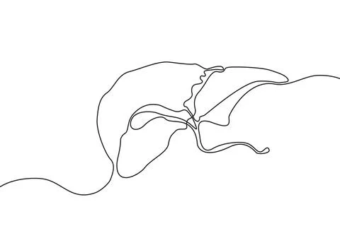 Liver Hand drawn icon continuous line drawing. Human organs Stock Illustration