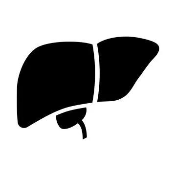 Liver icon in flat style. Stock Illustration