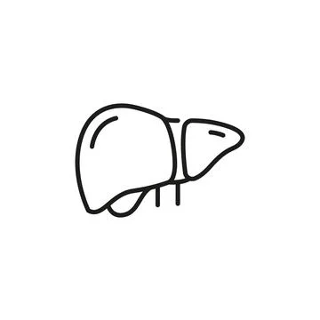 Liver Icon Stock Illustration