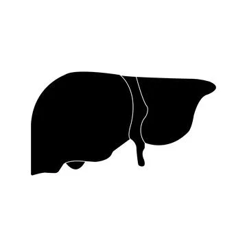 Liver icon Stock Illustration