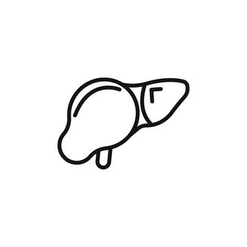 Liver icon logo sign vector outline Stock Illustration