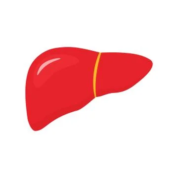 Liver icon shape. Stock Illustration