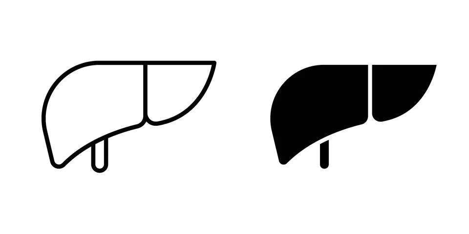 Liver icon vector concepts, line and silhouette style Illustrazione stock