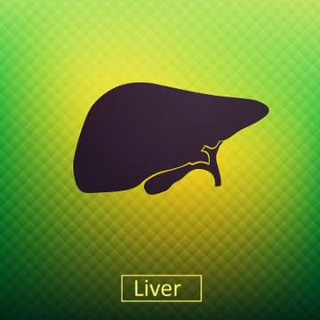 Liver Illustrazione stock