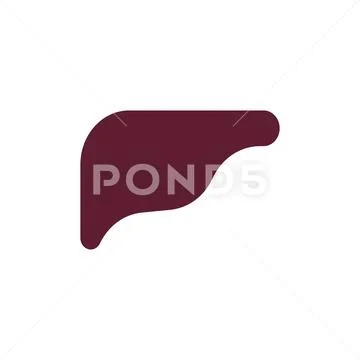 Liver Internal organs Human anatomy. vector illustration: Royalty Free ...
