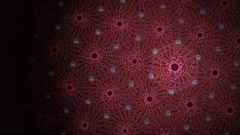 Liver Lobule Blood Flow Hexagonal Tissue Microscopy Seamless Loop Stock Footage 346728447