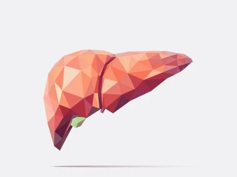 Liver low poly faceted Stock Illustration