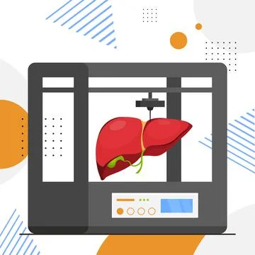 Liver model prints on 3d bio printer medical printing of human transplantation Stock Illustration