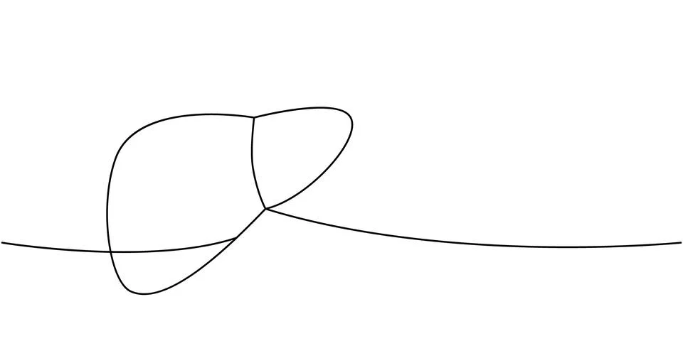 Liver one line continuous drawing. Human internal organ continuous one line Stock Illustration