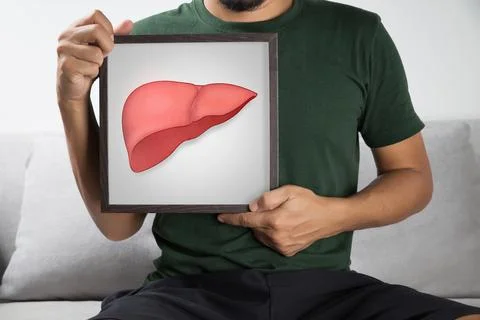 Liver Stock Photos