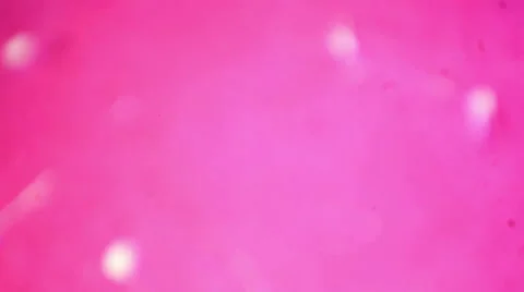 Liver slice under a microscope (Liver Sec.), Full HD Stock Footage 47113724