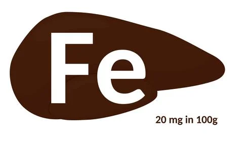 Liver source of ferrum isolated on white Stock Illustration