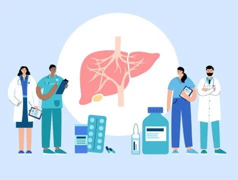 Liver Template Concept Stock Illustration