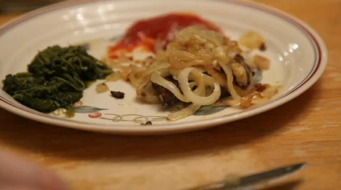 Liver1 Video stock 330992