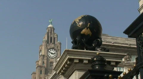 Liverbird Stock-Footage 68796