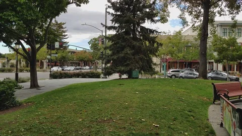 Livermorium Park Stockbeeldmateriaal 100761421