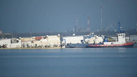 Livestock cargo ship is seen capsized near a harbor Video stock 122015161
