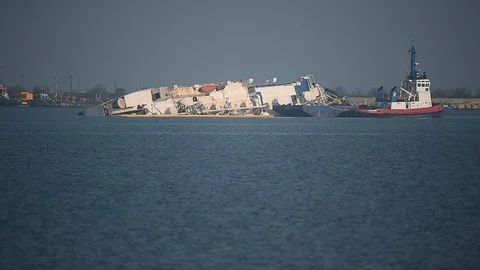 Livestock cargo ship is seen capsized near a harbor Video stock 122015254