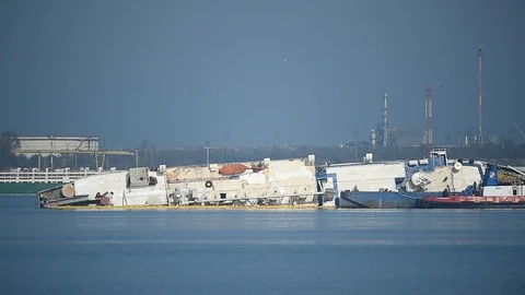 Livestock cargo ship is seen capsized near a harbor 스톡 동영상 122015384
