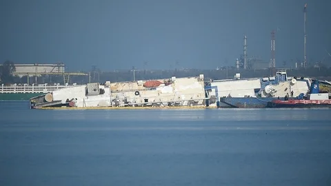 Livestock cargo ship is seen capsized near a harbor 스톡 동영상 122015401