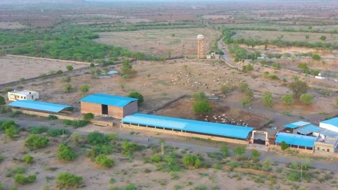 Livestock Facility in Dry Terrain Stock Footage 324964833