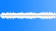 Livestock Market Interior General Sound Effect