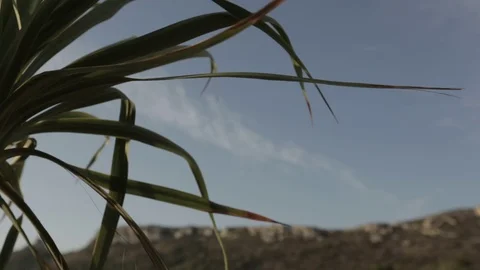 Living beach from a corner view Stock Footage 71616103