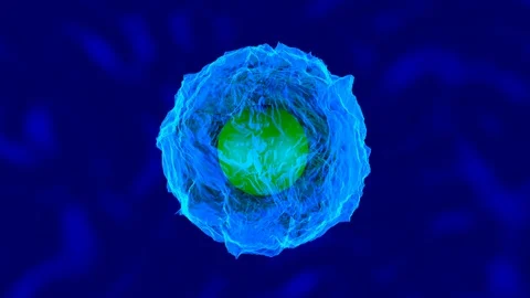 A living Cell Stock Footage 117371497