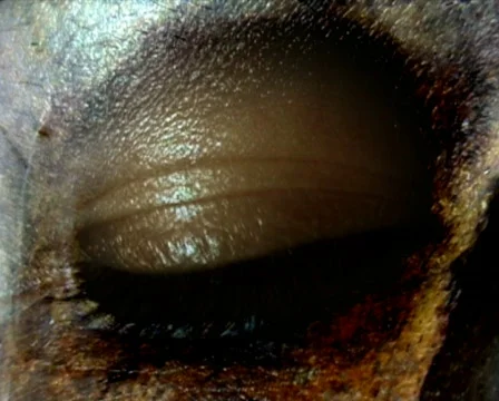 Living Dead Eye 库存影片 103189