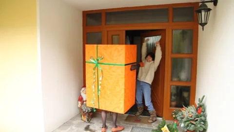 A Living Gift Package knocks on the door Vídeos de archivo 8922933