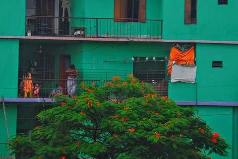 Living at lockdown Stock Photos