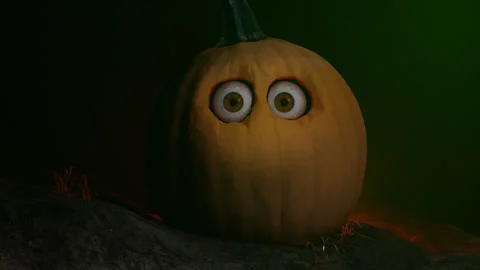 Living Pumpkin Stock Footage 161084253