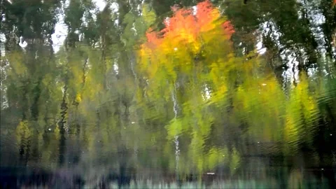 Living reflection Stock-Footage 142099078