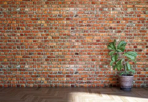 Living room 3d render Stock Illustration