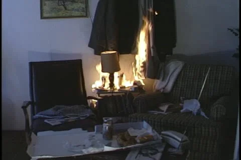 Living Room Fire Video stock 10895067