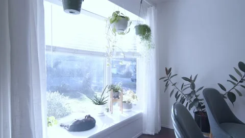 Living Room 스톡 동영상 201380409