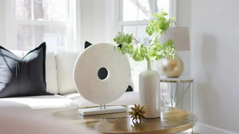 Living Room 스톡 동영상 236954542