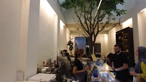 Living tree inside the building in the interior of the cafe Video stock 208029880