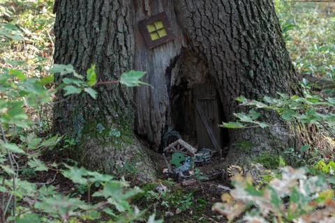 Living in a tree 스톡 사진