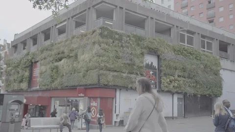Living wall in sutton Stock Footage 116597667