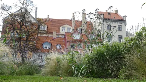 The Livu Square in Riga Old Town, Latvia. Stock-Footage 118917207