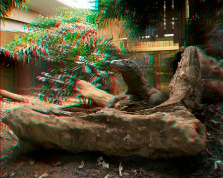 Lizard, 3D Anaglyph Photos