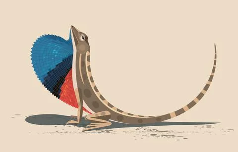 Lizard Agama Sitana Stock Illustration