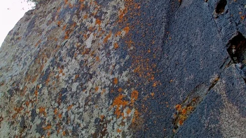 Lizard Ancient Native American Indian Rock Art at Petroglyph Lake Hart Mountain Stock Footage 81763337