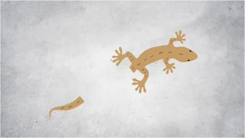 Lizard autotomy concept 2d animation of gecko with detached moving tail on c 库存影片 344236810